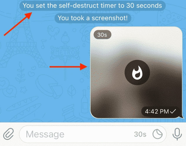 纸飞机Telegram电脑版如何更新到最新版？
