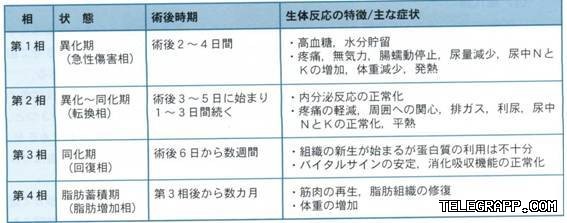 Telegram如何管理聊天列表？