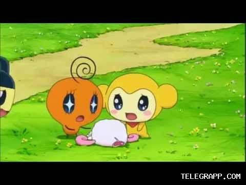 Telegram如何添加好友? 段落插图 1