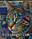 Telegram注册时密码设置注意事项? 段落插图 2