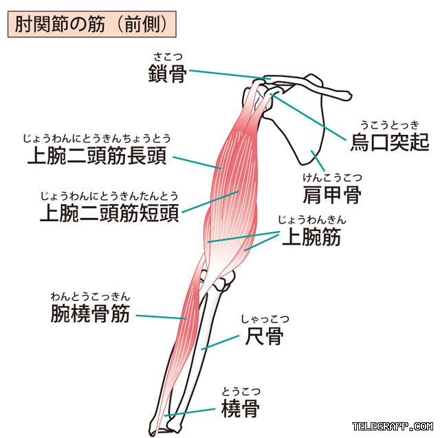 Telegram聊天如何标记未读？ 段落插图 1