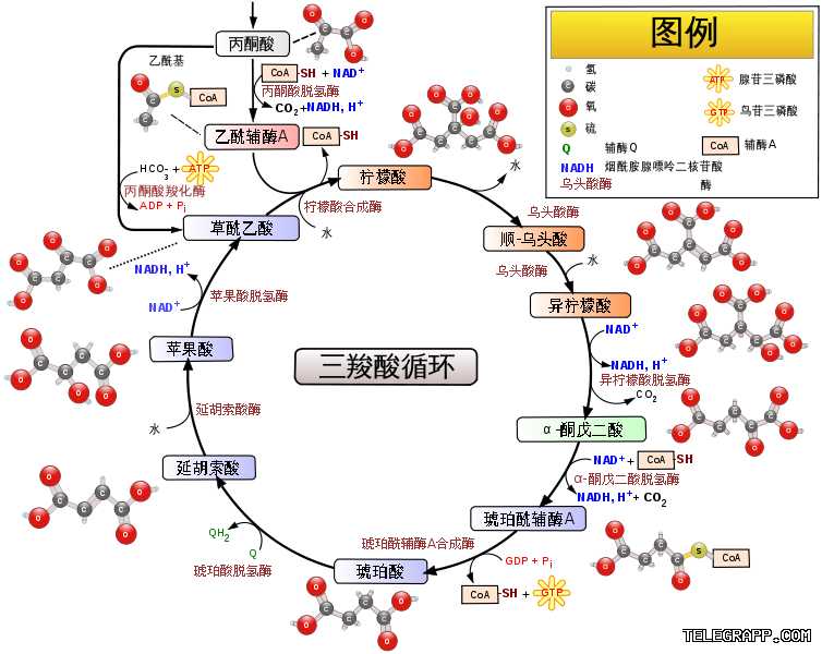 Telegram如何屏蔽某个联系人? 段落插图 2